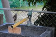 龍の手水舎
