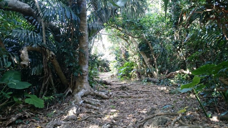 フボー御嶽の入り口