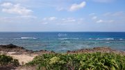 久高島の果て