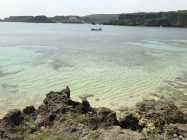 亀岩龍宮神からの海