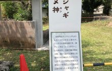 カミアシャギ