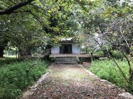 南山神社の拝殿