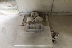 拝殿にある拝所