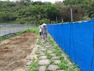 受水走水への道