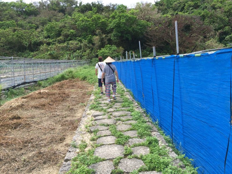 受水走水への道