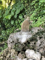 受水