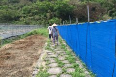 受水走水への道