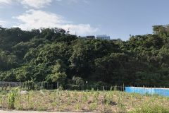 受水走水方面
