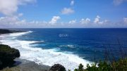 眼下の海