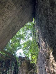 三庫理