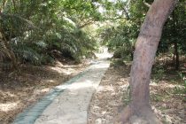 斎場御嶽の参道