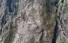 三庫理