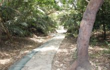 斎場御嶽の参道