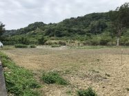 シルミチューへの道