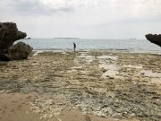 浜比嘉竜宮