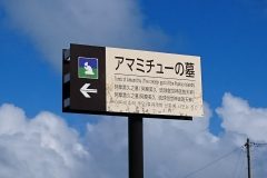 アマミチュー