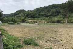シルミチューへの道
