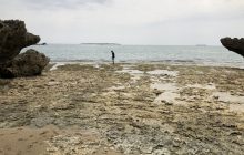 浜比嘉竜宮