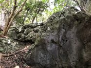 隆起サンゴの巨石