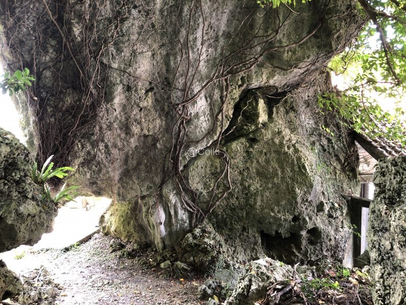 シロガネの御イベ