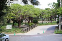 護国神社から公園を見る