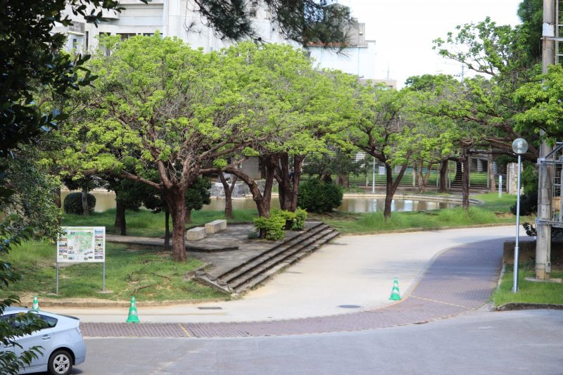 護国神社から公園を見る