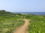辺戸岬の遊歩道
