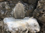 龍神龍王神大神の石碑