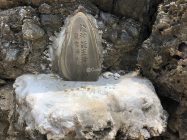 龍神龍王神大神の石碑