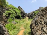 龍神龍王神大神への遊歩道