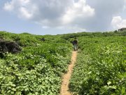 龍神龍王神大神への遊歩道