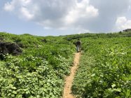 龍神龍王神大神への遊歩道