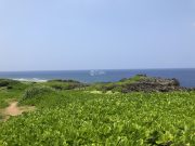 辺戸岬の景色