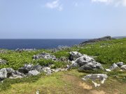 辺戸岬の景色