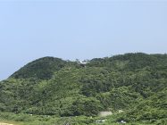 ヤンバルクイナ方面