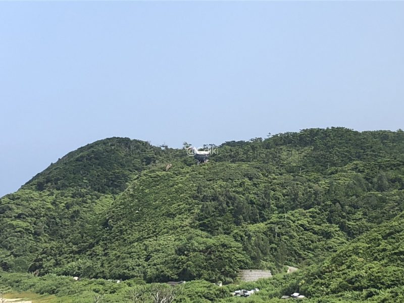 ヤンバルクイナ方面