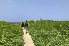 辺戸岬の遊歩道