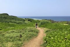 辺戸岬の遊歩道