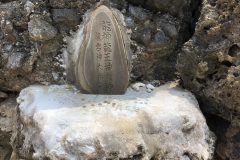 龍神龍王神大神の石碑