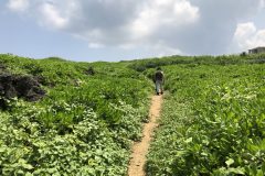 龍神龍王神大神への遊歩道