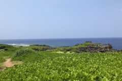 辺戸岬の景色