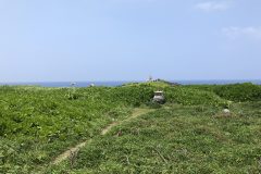 辺戸岬の景色