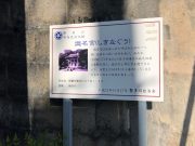 識名宮の説明