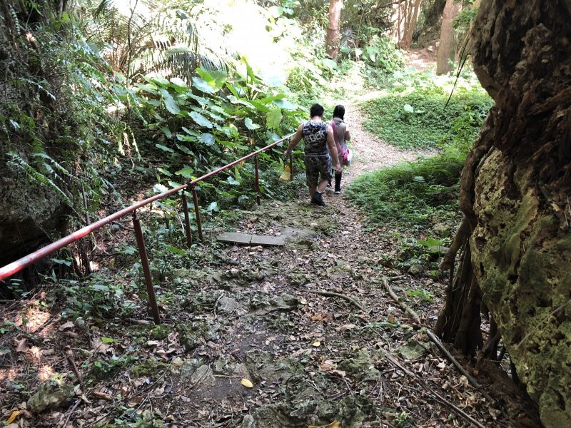 末吉宮周辺の森